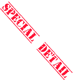 Special detail